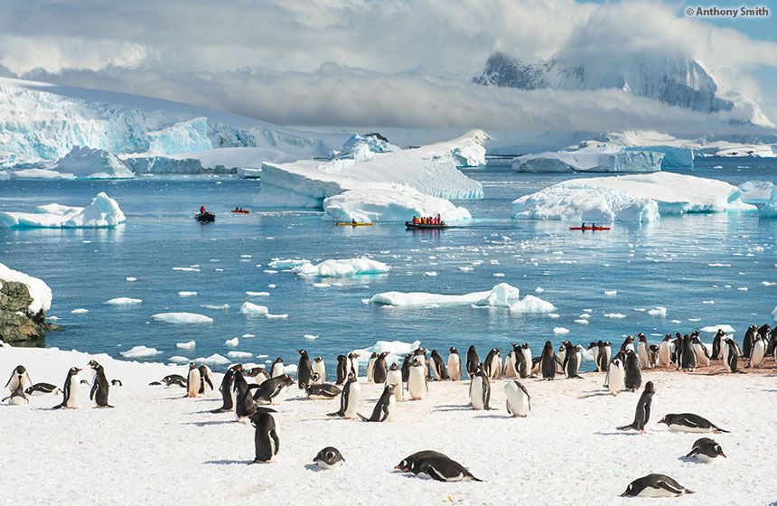 Antarctic_2022_01_Abenteuer und Wildtiere